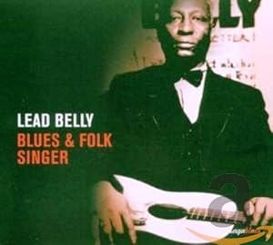 Blues & Folk Singer