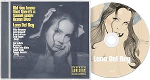 Did you know that there's a tunnel under Ocean Blvd (CD)
