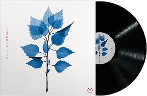 Get Sunk - Vinilo