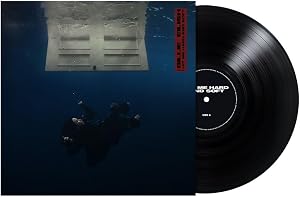 HIT ME HARD AND SOFT (Vinilo)