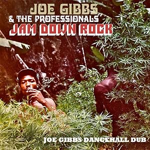 JAM DOWN ROCK - JOE GIBBS DANCEHALL DUB