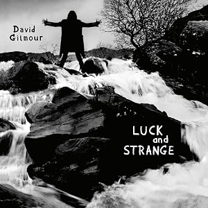 Luck And Strange [Vinilo]