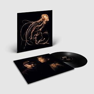 Royal Blood - Back To The Water Below (LP) [Vinilo]