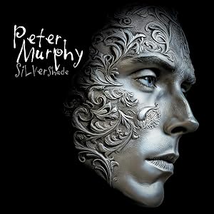 Silver Shade