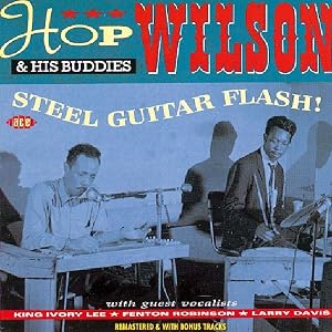 Steel Guitar Flash