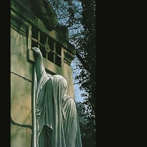 Whitin the Realm of a Dying Sun