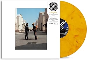 Wish you were here (50th Anniversary)