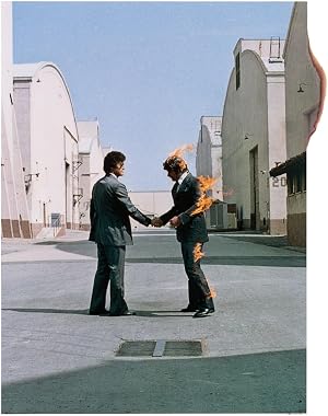 Wish You Were Here [Vinyl LP]